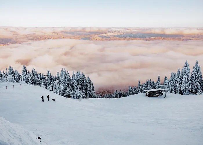 OREA Hotel Špičák Šumava