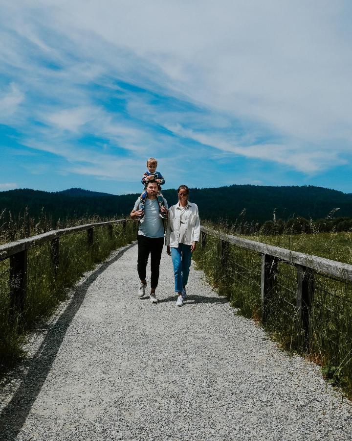 Orea špičák šumava