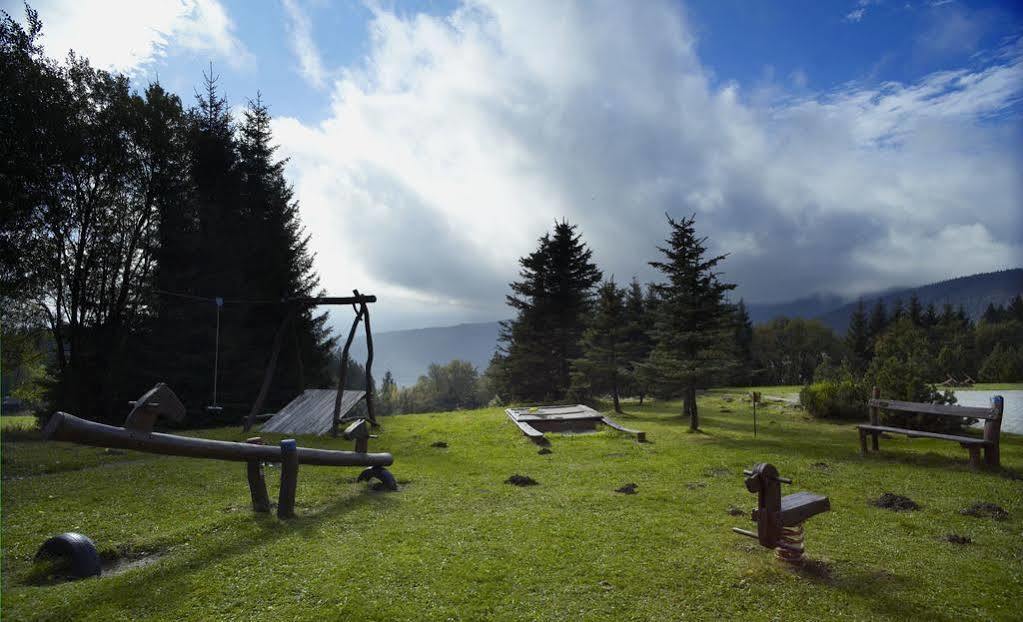 Orea špičák šumava